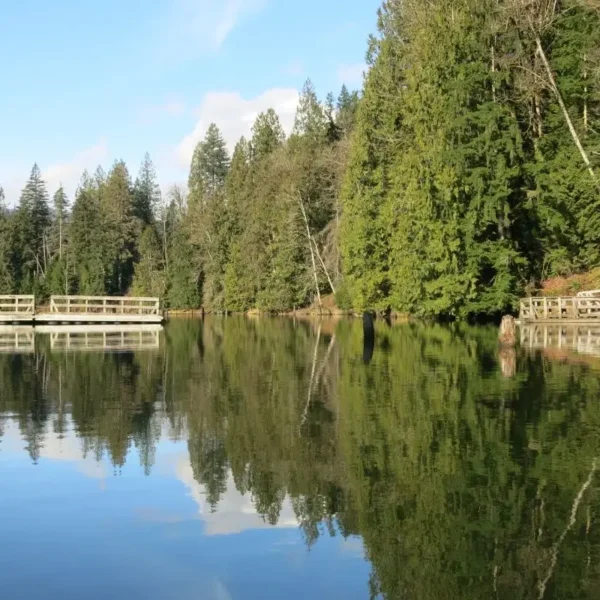 Portions of a floating bridge lie in the calm, clear water of Hayward Lake with a gap between it and the green, forested shoreline.
