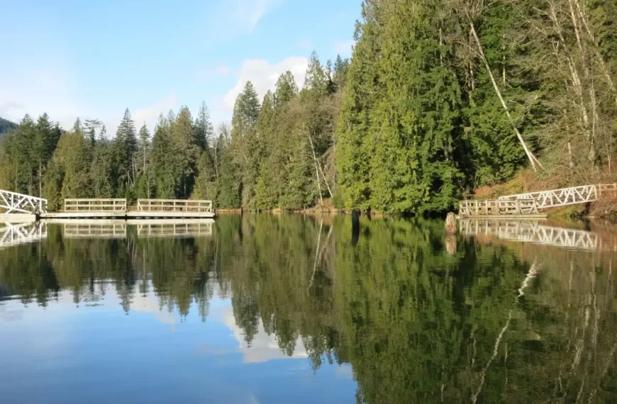 Portions of a floating bridge lie in the calm, clear water of Hayward Lake with a gap between it and the green, forested shoreline.