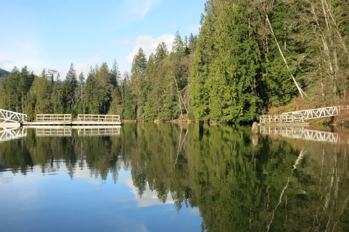 Portions of a floating bridge lie in the calm, clear water of Hayward Lake with a gap between it and the green, forested shoreline.