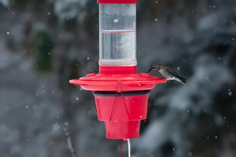 A tiny Anna's Hummingbird visits a feeder on a gray snowy day.