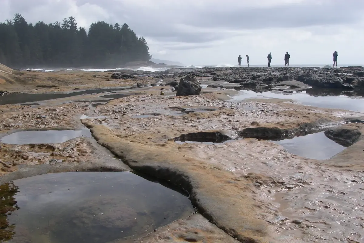 People stand on a sandstone shelf coastline in Juan de Fuca Provincial Park.
