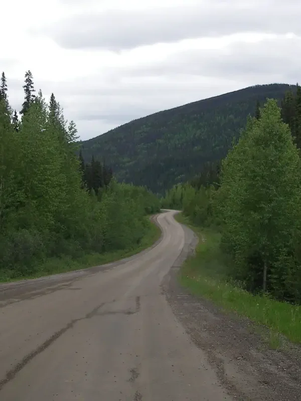 A forest service road with forest on either side winds off towards a mountain.