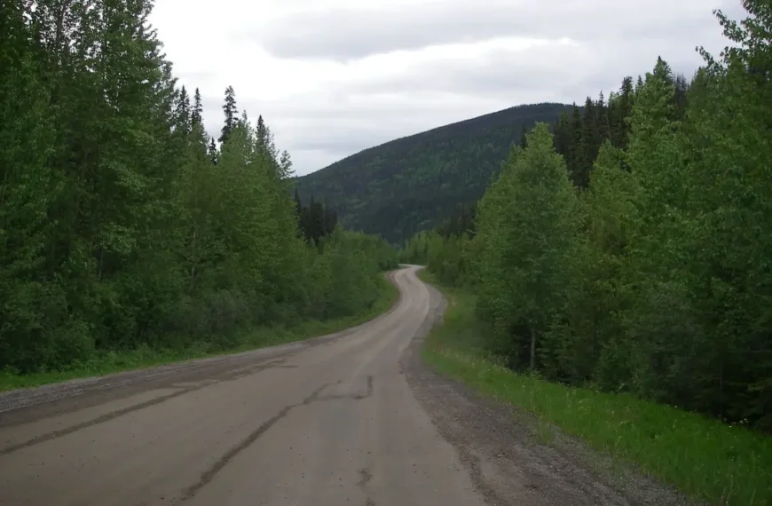 A forest service road with forest on either side winds off towards a mountain.