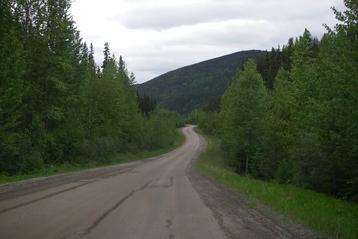 A forest service road with forest on either side winds off towards a mountain.