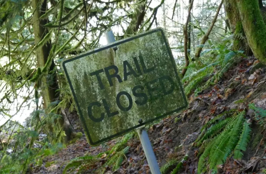 An algae-covered trail closed sign leans to one side in the forest.