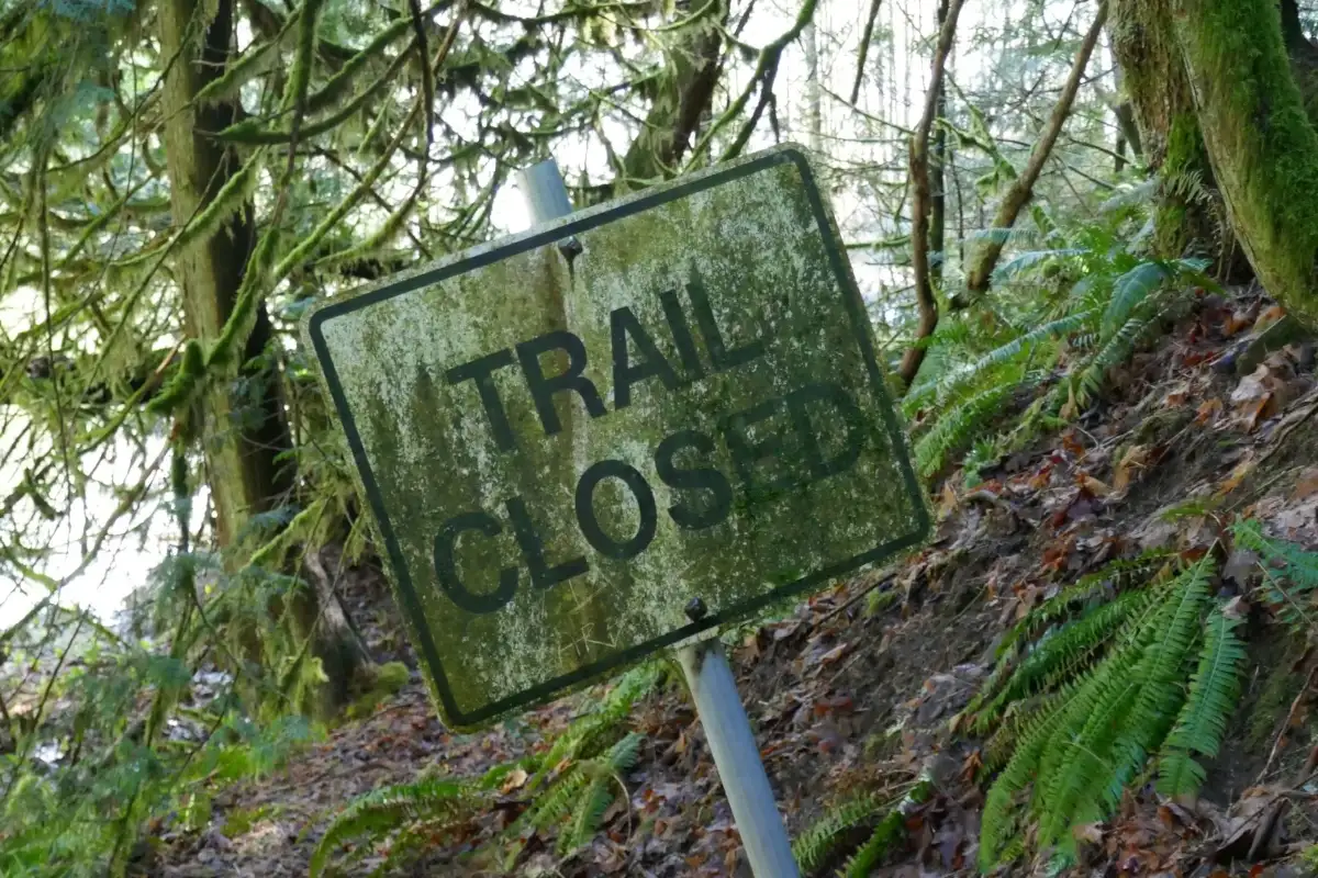 An algae-covered trail closed sign leans to one side in the forest.