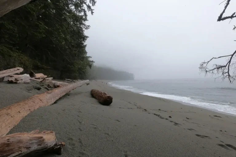 Footprints disappear into the mist on a foggy beach on the West Coast Trail.