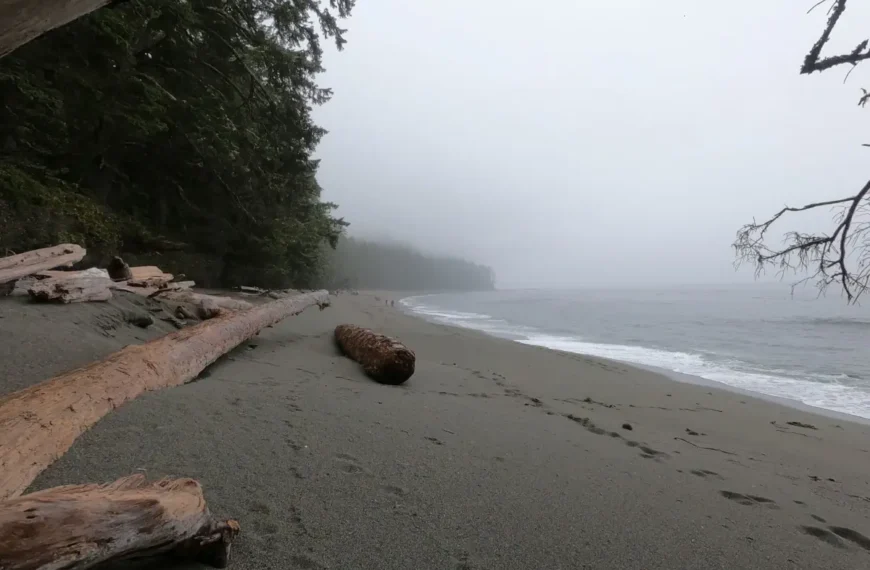 Footprints disappear into the mist on a foggy beach on the West Coast Trail.
