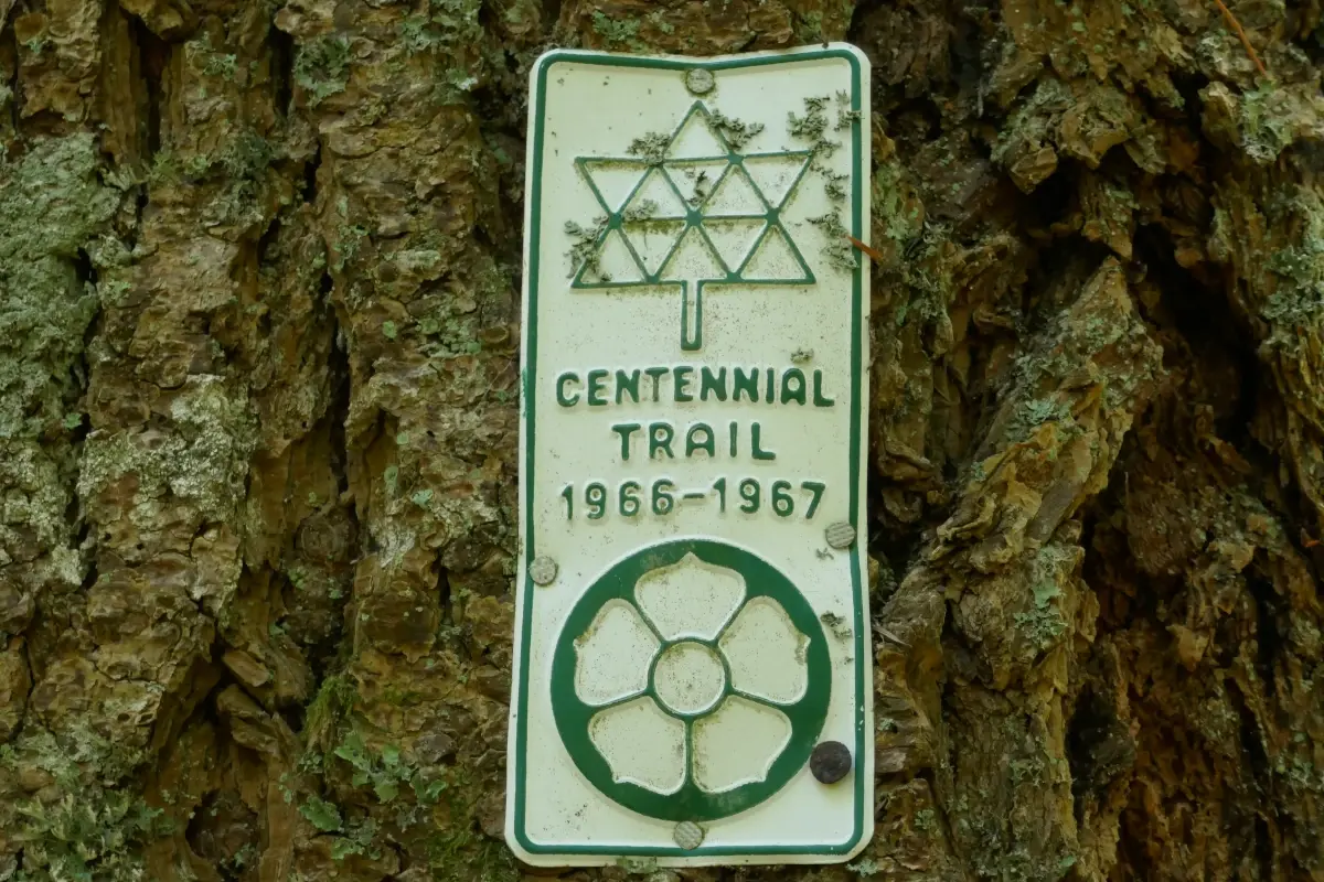 A trail marker nailed to a tree reads: Centennial Trail, 1966-67