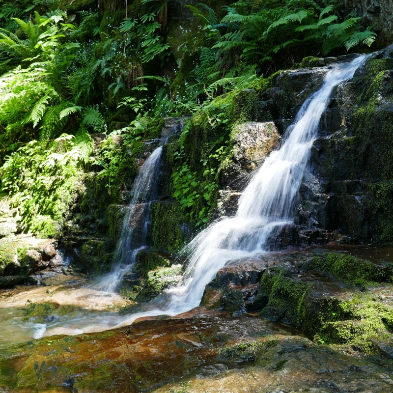 A waterfall cascades down Chadsey Creek along the Centennial Trail on Sumas Mtn.