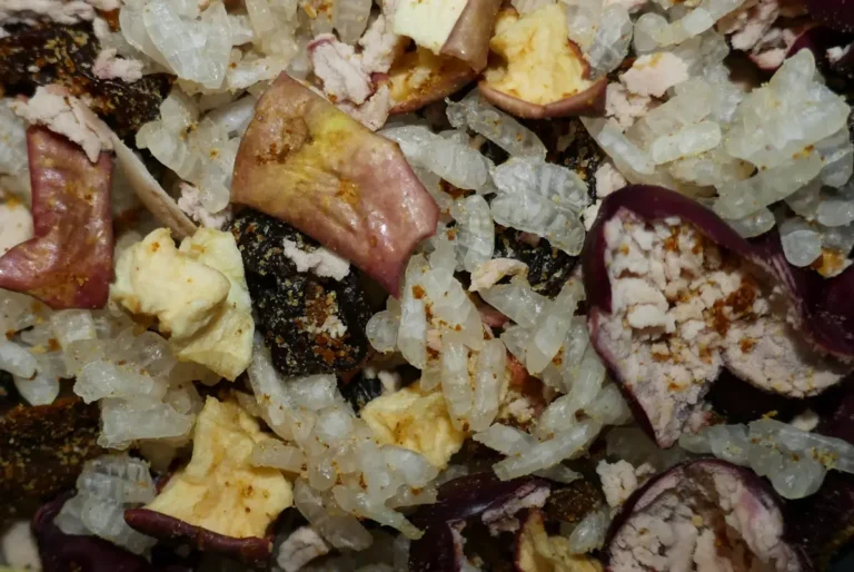 A mix of dehydrated rice, apple, kidney beans, and curry paste.