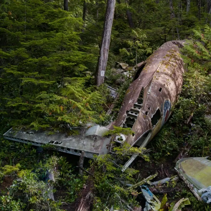 A wrecked plane lies in the forest near Port Hardy.