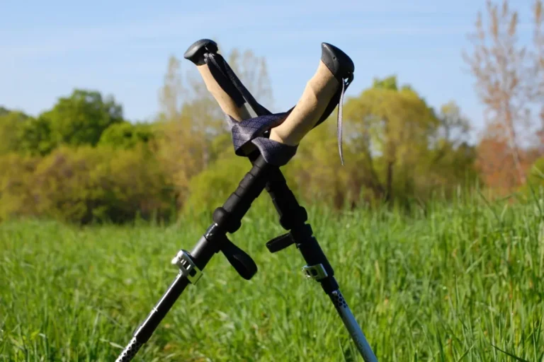 A pair of hiking pole stand in a green field.