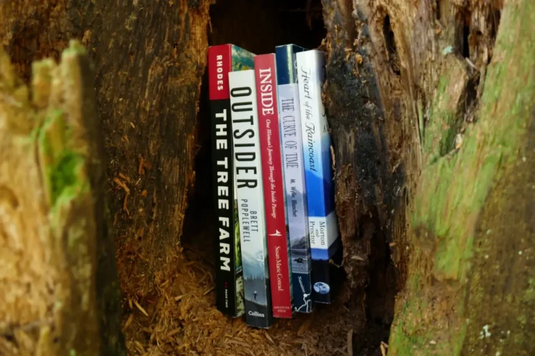 A stack of bc adventure books sits in the hollow of a tree.