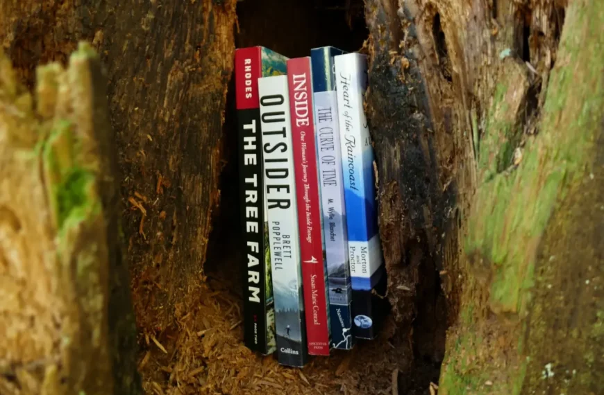 A stack of bc adventure books sits in the hollow of a tree.