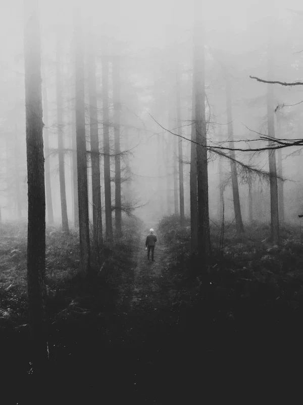 A black and white photo depicts a man walking a path through foggy, branchless trees.