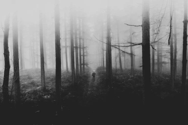A black and white photo depicts a man walking a path through foggy, branchless trees.