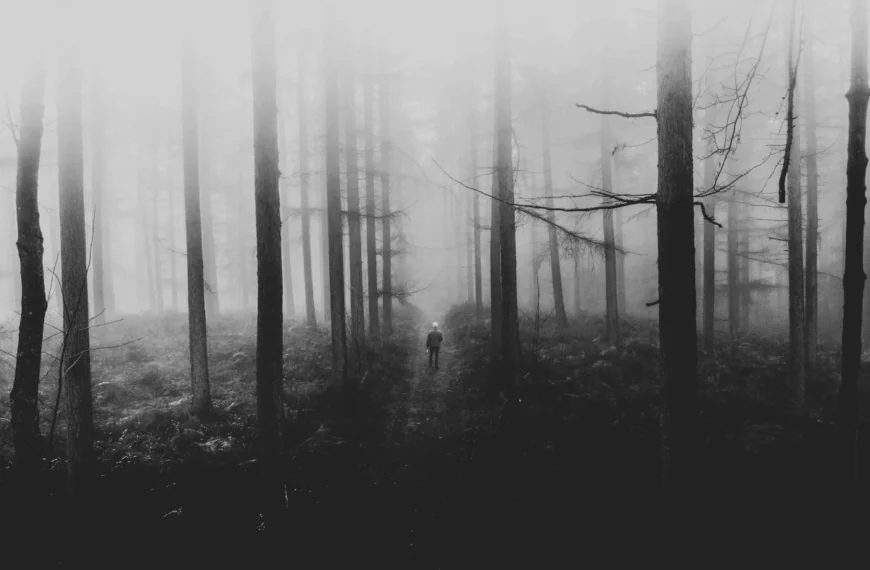 A black and white photo depicts a man walking a path through foggy, branchless trees.
