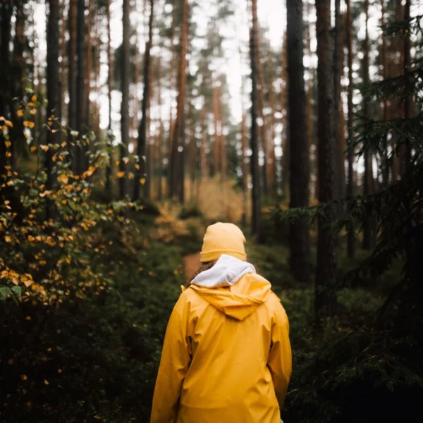 A person in a yellow raincoat walks through a wet forest.