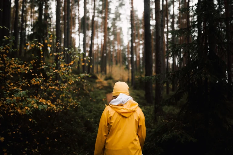 A person in a yellow raincoat walks through a wet forest.