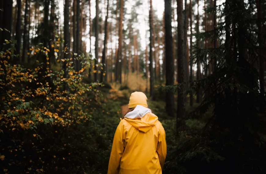 A person in a yellow raincoat walks through a wet forest.