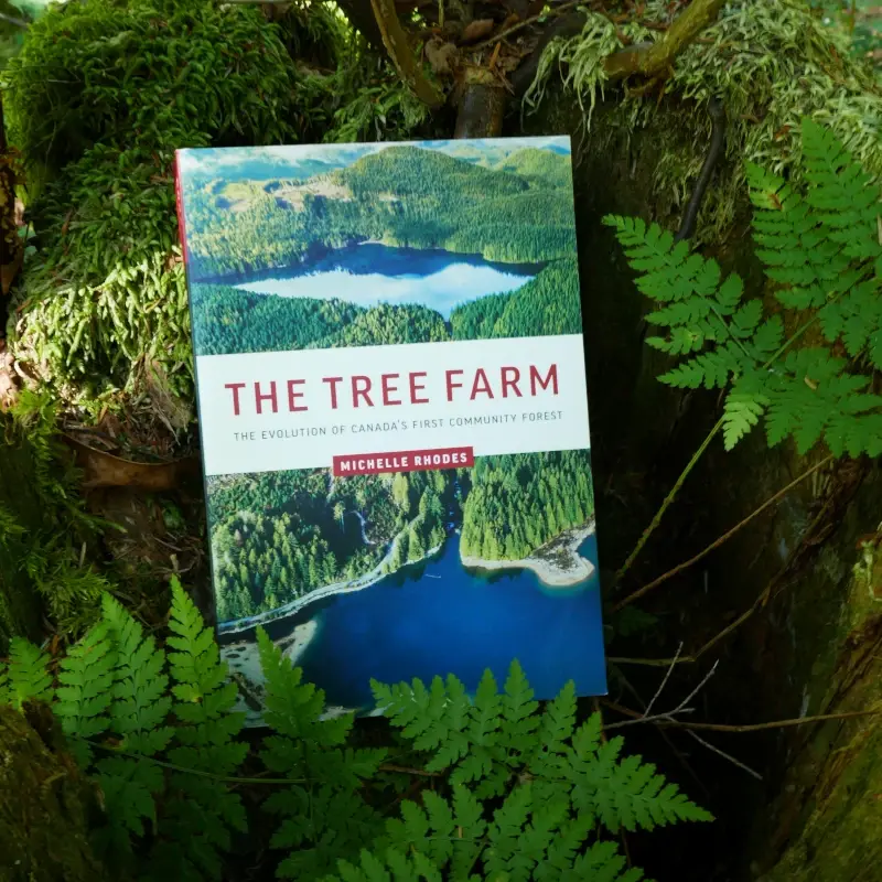Inside the hollow of a stump surrounded by ferns sits a book.
