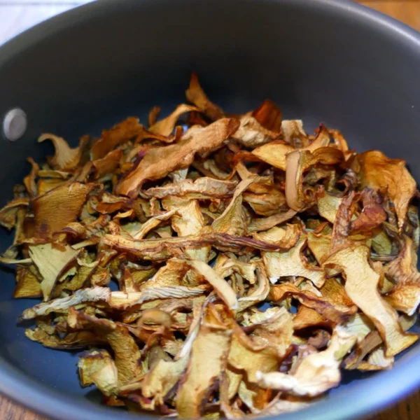 Dried chanterelle mushrooms are displayed in a camping pot.