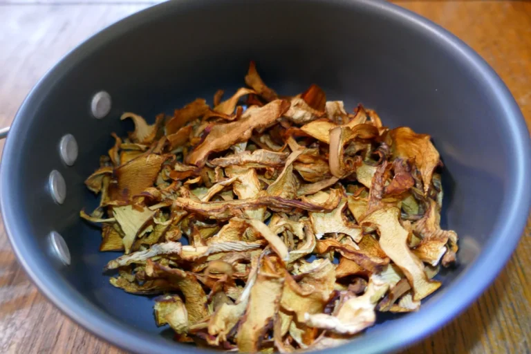 Dried chanterelle mushrooms are displayed in a camping pot.