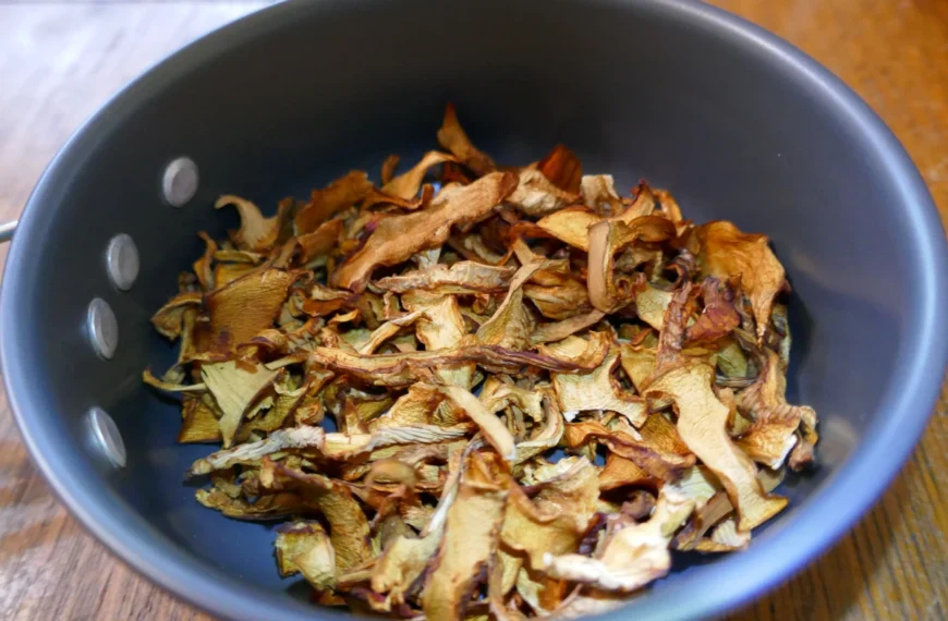 Dried chanterelle mushrooms are displayed in a camping pot.