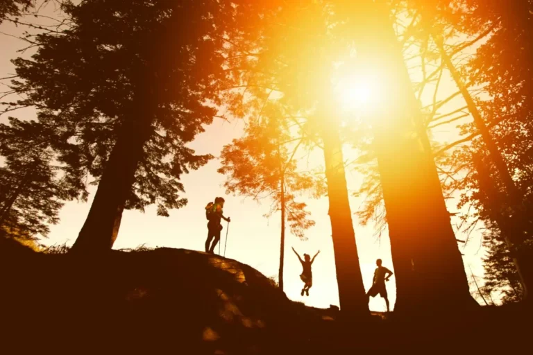 Hikers are shown on a hill beside trees suring sunset.