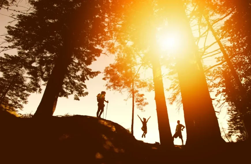Hikers are shown on a hill beside trees suring sunset.