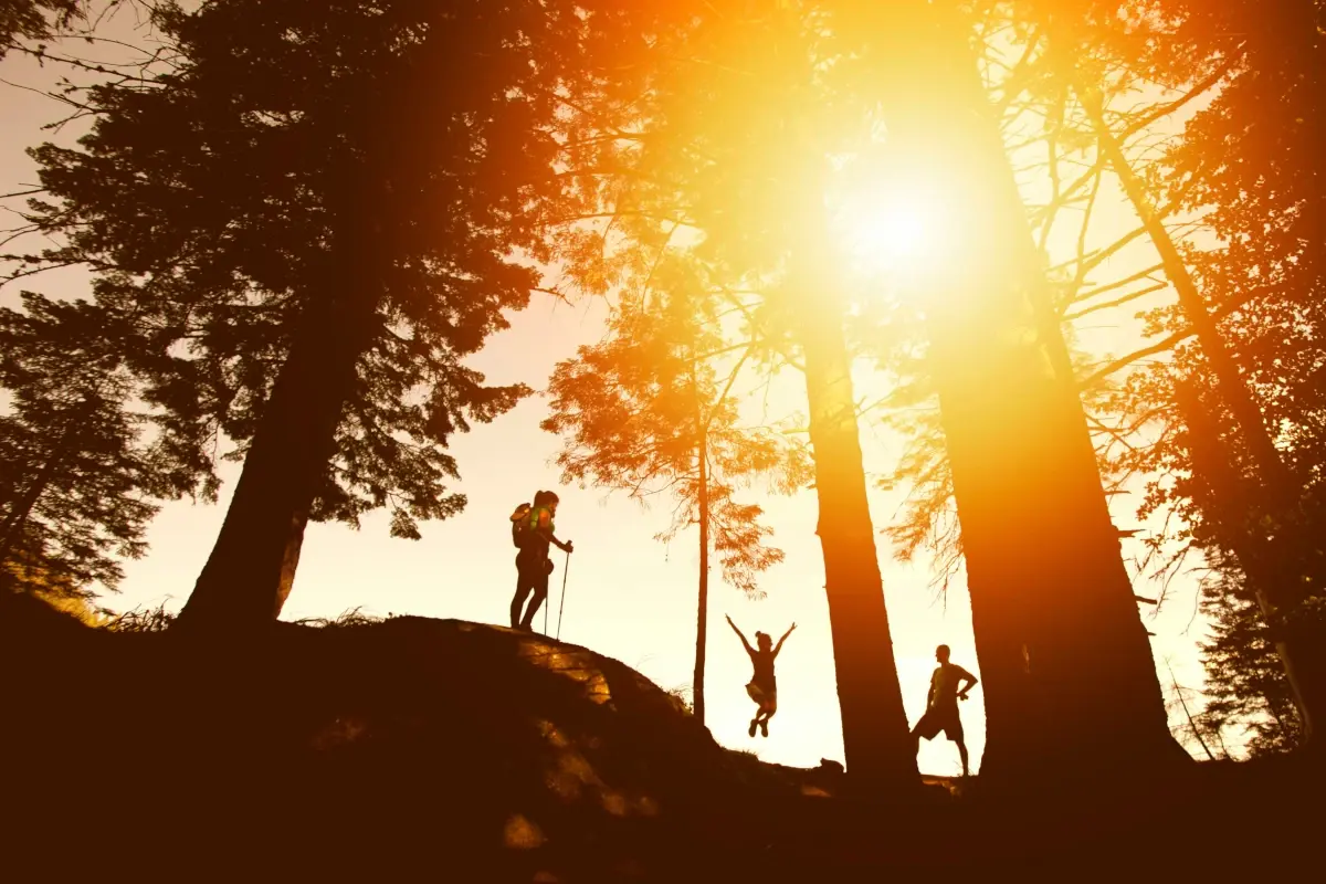 Hikers are shown on a hill beside trees suring sunset.