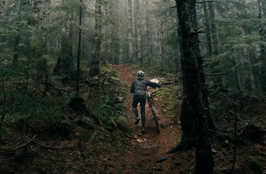 A mountain biker pushes his bike up a trail in a foggy forest.