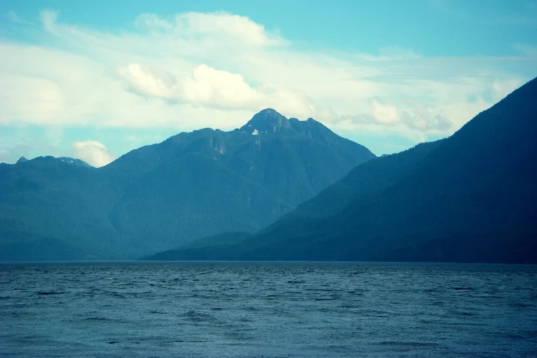 A mountain rises above Robson Bight in Johnstone Strait.
