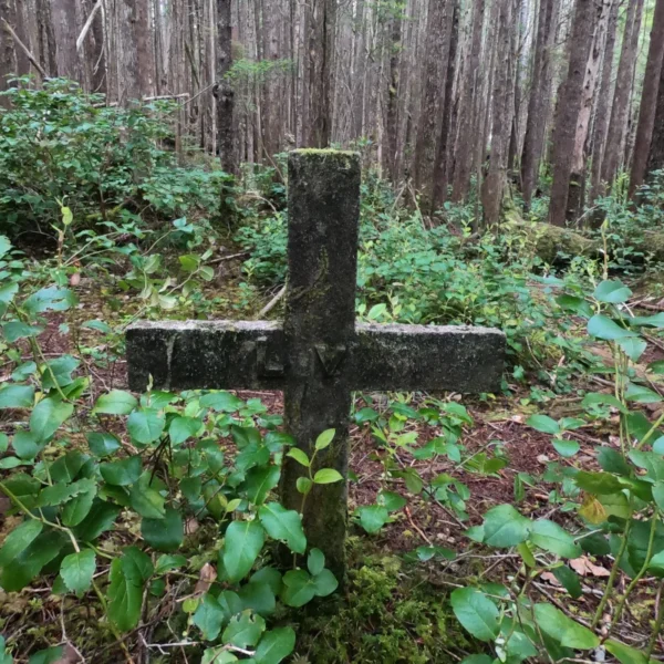 A cement cross marks a forest grave near Cape Scott.