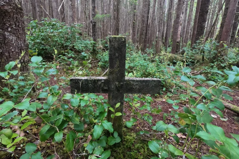 A cement cross marks a forest grave near Cape Scott.