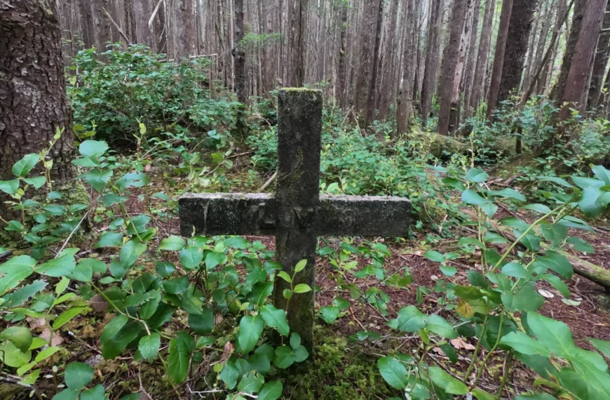 A cement cross marks a forest grave near Cape Scott.