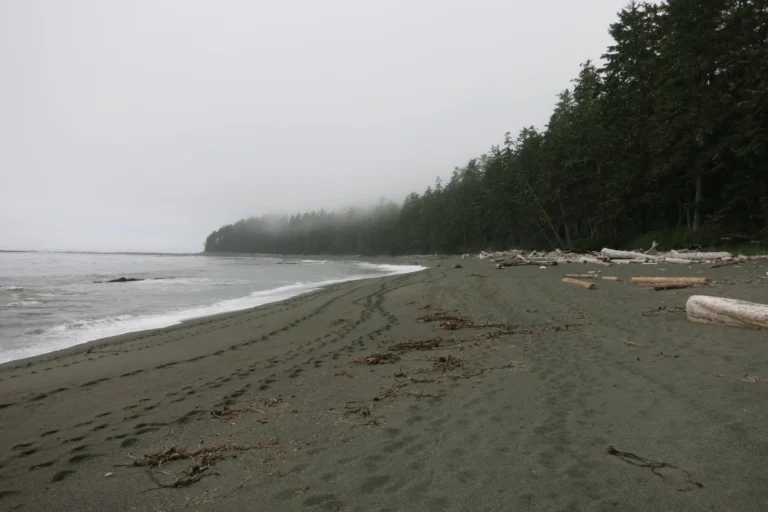 Can I do the West Coast Trail Solo?