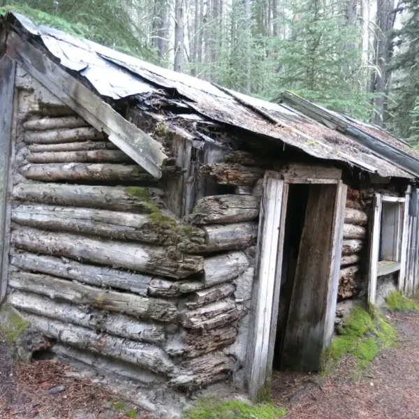 An abandoned cabin sits crumbling in the woods.