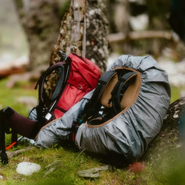 Two backpacks lean against a tree in the forest.