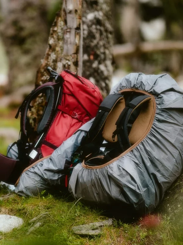 Two backpacks lean against a tree in the forest.