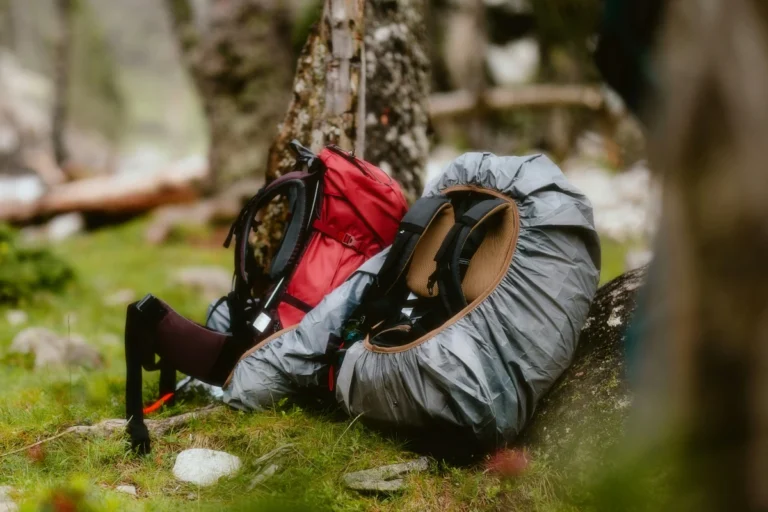Two backpacks lean against a tree in the forest.