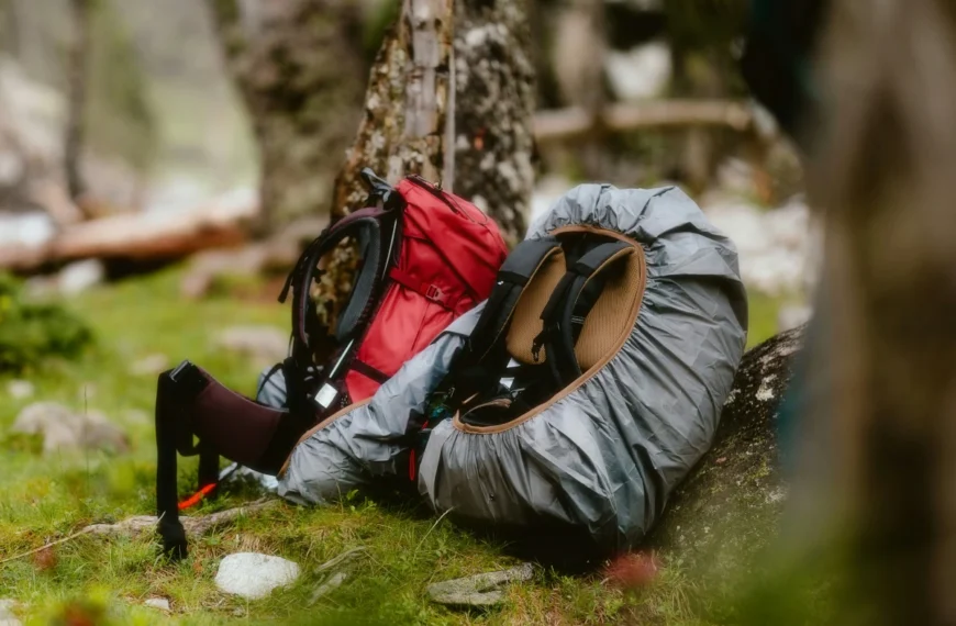 Two backpacks lean against a tree in the forest.