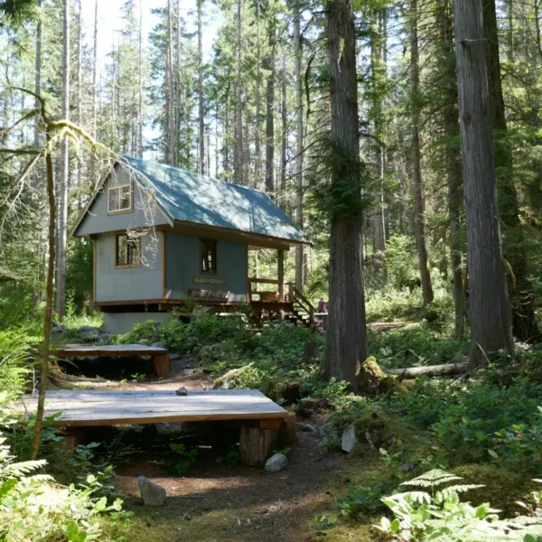 The Bliss Portage hut neatled in the woods on the Sunshine Coast Trail.