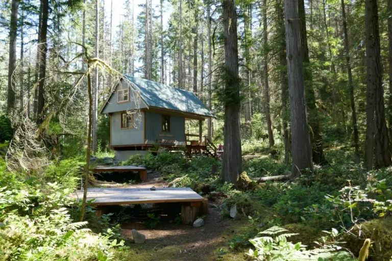 The Bliss Portage hut neatled in the woods on the Sunshine Coast Trail.