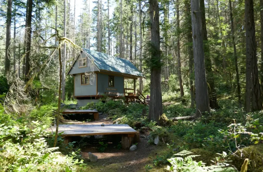 The Bliss Portage hut neatled in the woods on the Sunshine Coast Trail.