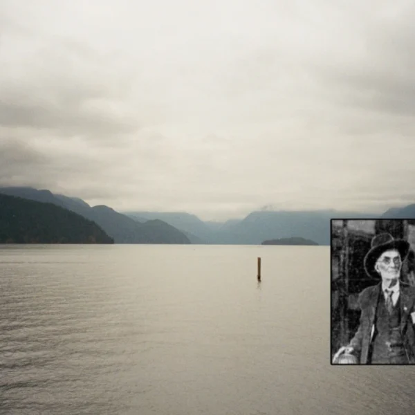 A view of Pitt Lake and low cloud overlaid with an image of Volcanic Brown.