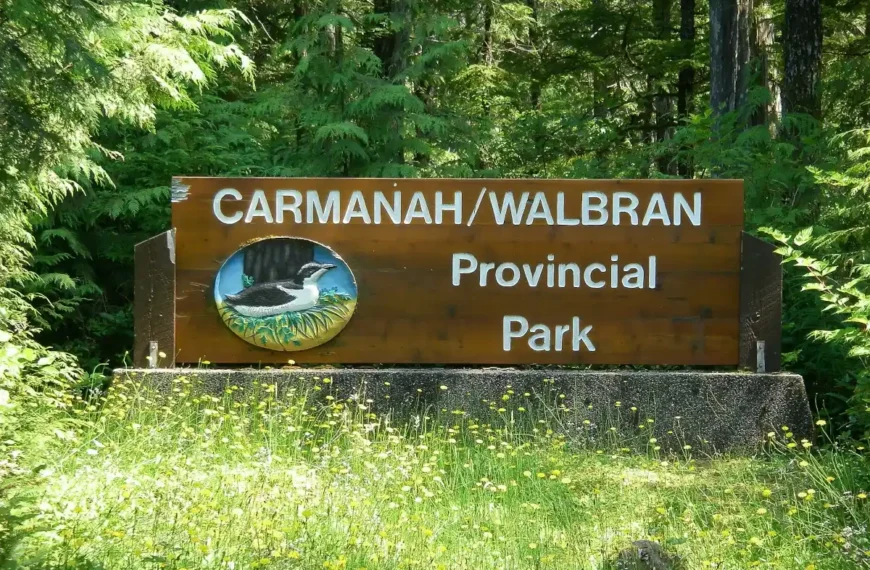 A photo of Carmanah Walbran Provincial Park sign.