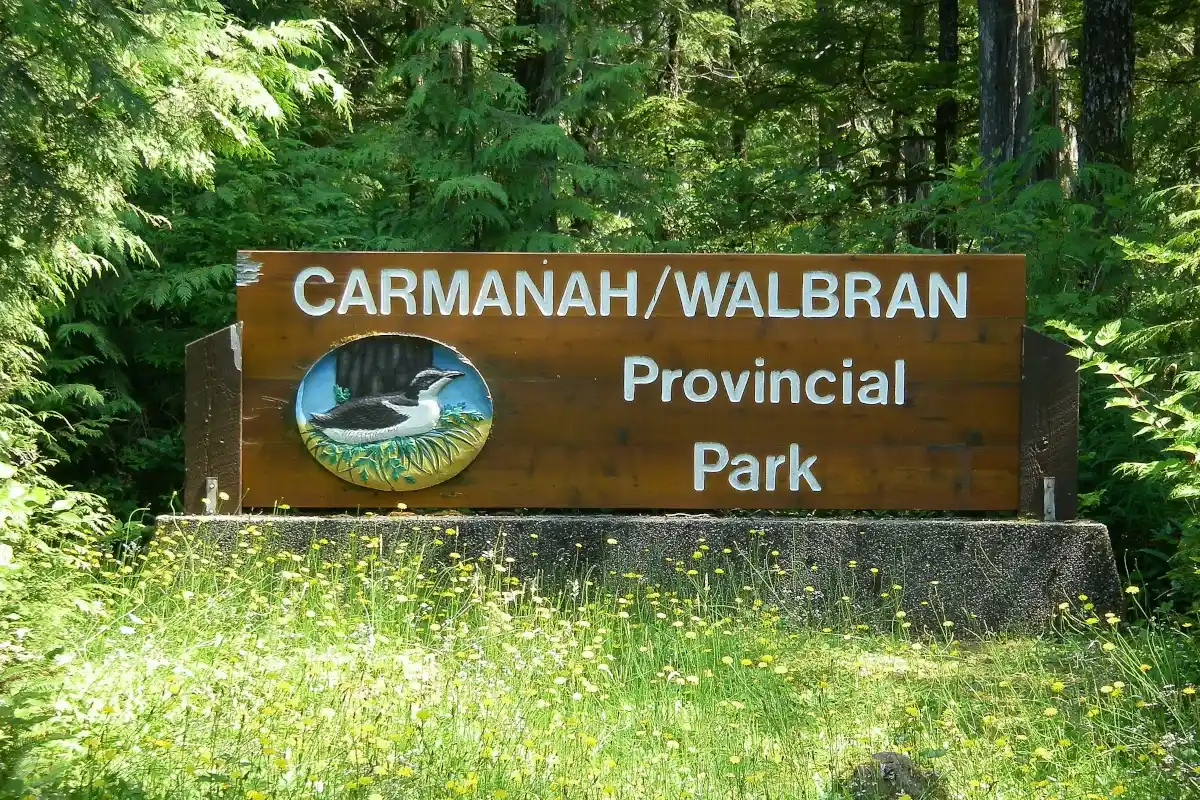 A photo of Carmanah Walbran Provincial Park sign.