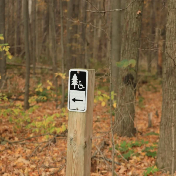 A sign indicating wheelchair access against a forest backdrop.